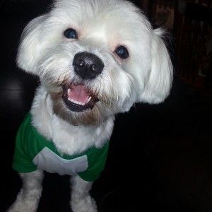 Meet your Posher, Elia